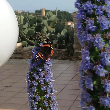Guidaloca Scopello (Sicily)